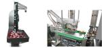 Cosmetic Cream Essential Oil Filling Line Full Automatic Liquid Makeup Filling