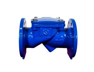 Quality OEM Rubber Seat Cast Iron Check Valve With Counterweight Corrosion Resistant wholesale