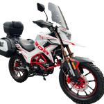 Powerful Street Legal Dirt Bike Motorcycle Electric Starting CDI Ignition