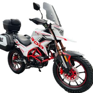 Quality Powerful Street Legal Dirt Bike Motorcycle Electric Starting CDI Ignition wholesale