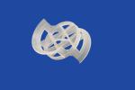 Pall Ring