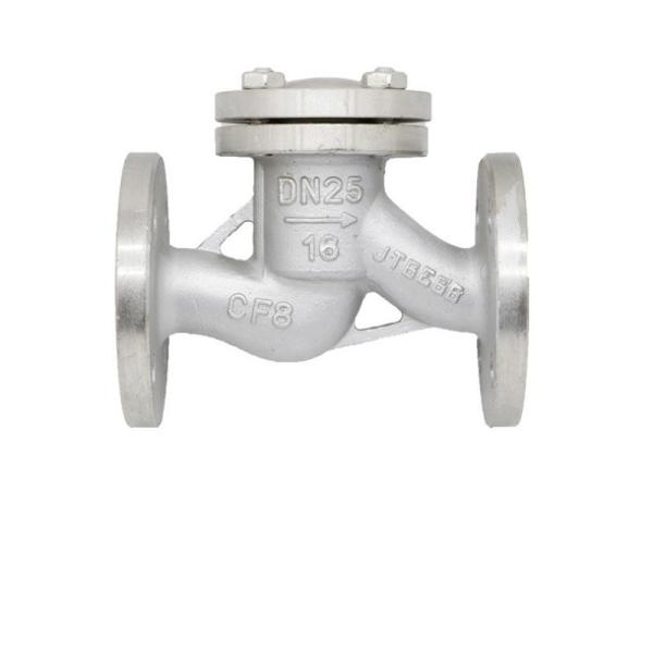 Customizable Stainless Steel Lift Type Flanged Check Valve for Water Industrial