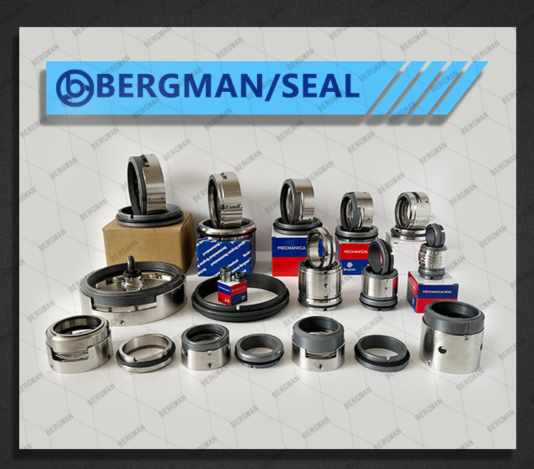 BERGMAN 58U 59U 24mm-80mm Lixin Dyeing Machine Pump Mechanical Seal