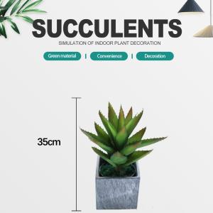 Quality Plastic Artificial Plants Succulents Wedding Indoor Decorative wholesale