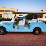 ODM Blue Electric Classic Golf Cart Trolley 20 Mph 48V