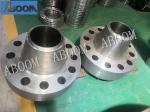 N10276 Hastelloy Alloy BLRF Hastelloy C-276 Flange Pipe Fittings SB622 SB619