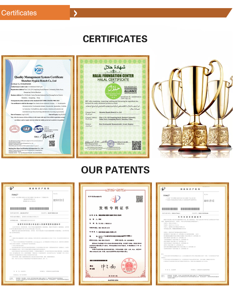 Natural Sophora Japonica Plant Extract Powder 99% Quercetin Dihydrate