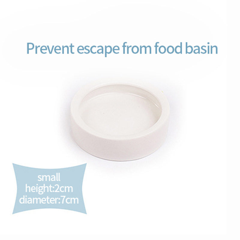 Pet Bowl Prevents Bread Worms Setting Escaping Lizard Ceramic Water Food Dish Reptile