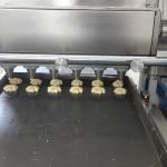 Jassen Walnut Cookie Maker Perfect for Restaurants and Bakeries 3KW Molding