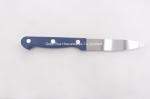 Promotional gifts stainless steel steak knife with hard plastic handle sharp