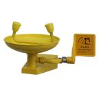 Factory price Professional Anti-corrosion ABS coating Eyewash, Wall Mounted
