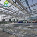 Insulated Automatic Agricultural Glass Greenhouse Commercial Turnkey Hydroponic