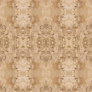 Quality Fancy Panel Faced Natural White Poplar Burl Wood Veneer For Hotel Decoration 2440/2745mm Lengthened Size China Supply wholesale