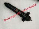 KTA50 Diesel Fuel Cummins Injector Assy 3095773 - 28 4307427 KTA19 K50