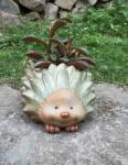 Succulent Creative Animals Plant Flowerpots