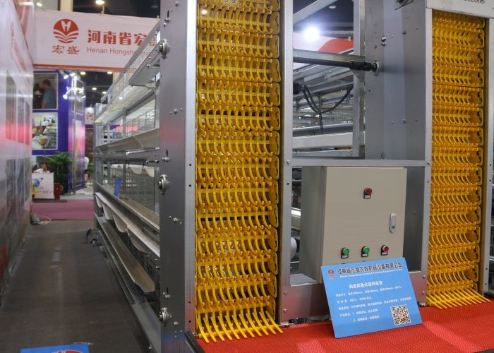Commercial H Type Poultry Cage Conventional Cages For Laying Hens