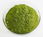 Food Grade Organic Red Spinach Extract Powder Natural Vegetable
