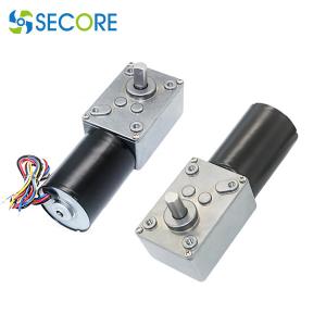 Quality 30RPM 4.55W Brushless DC Gear Motor ROHS Self Locking Worm Gear Motor wholesale