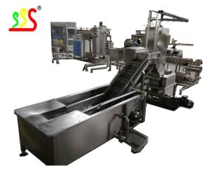 Quality Dried Fruit Production Line 1ton Per Hour Or Customzied Capacity wholesale