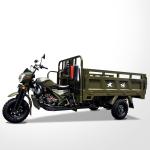 Affordable 250cc Motor Tricycle for Family in Egypt Agriculture Market Open Body