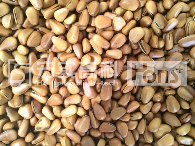 Sorting Machine CCD Camera 4Chutes 252Channels Color Sorter For Rice/Beans