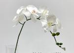 Long Lasting Colorful Artificial Flower Branch Phalaenopsis Aphrodite 83 Cm