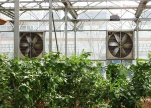 Quality 1400RPM Greenhouse Cooling System 220V / 380V Galvanized Sheet Contour Frame wholesale