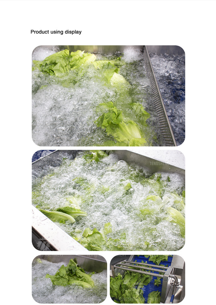 Circulating Showers Floater Removal Industrial Fruit Washing Machine Honeydew Melon