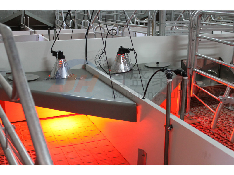 ISO9001 2008/CE/BV Certified Pig Farming Business Plan for Customized Cages and Pen