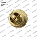 Thermostat 3066 C6.4 5I-8010 Engine Part