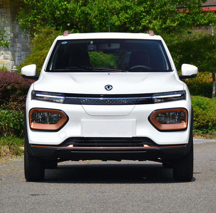 DF Nano Box 2023 331KM Enjoy Electric Car with High Speed and Enjoy Auto