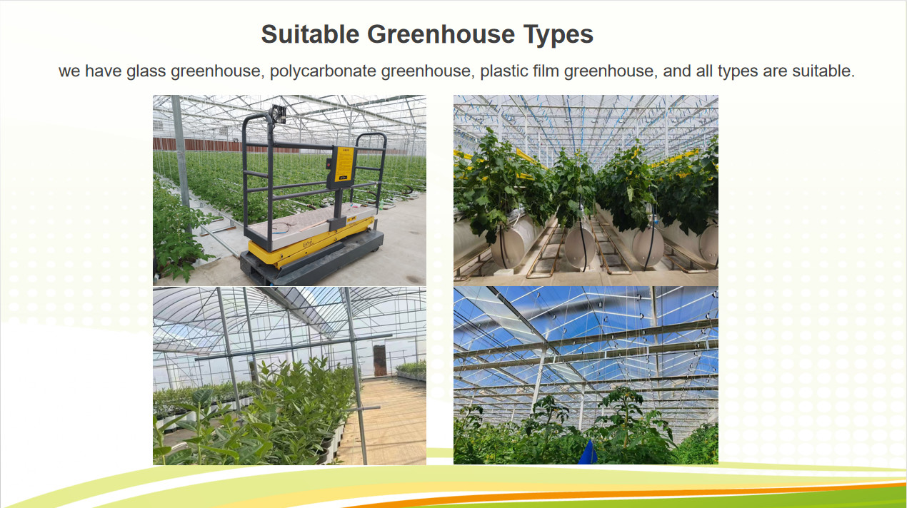 Commercial Tomato Growing Greenhouse Customized Size Rust Resistant