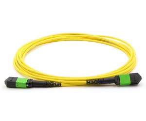 Quality MTP 24 Strand Single Mode Fiber Cable , Male To Female Optical Breakout Cable wholesale