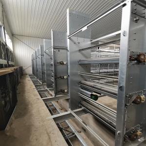 Quality Hot Dipped Galvanized 6mm Manure Removal Equipment Siemens Motor wholesale