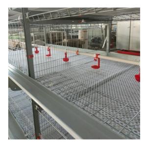 Quality 3tire 2150x2300x1600mm Poultry Farming Equipment For Laying Hens Chicken Cage wholesale