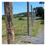 Hot Dipped Galvanized Fixed Knot Woven Game Wire Farm Fencing for Pasture Goat