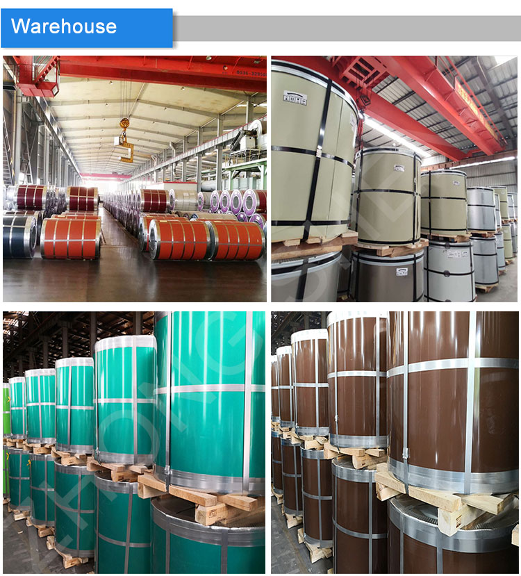 High Strength Galvanized Steel Color Coated Coil Pre Painted Hot Dip Galvanized Coated Steel Coil in White RAL Color