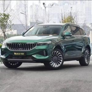 Quality Maximum Range 860km Dongdeng Voyah Electric Car for 2024 Condition and 130 Km/H Speed wholesale