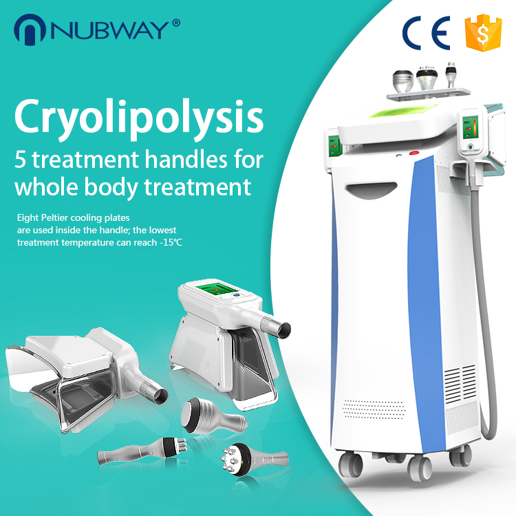 CE/ FDA approved Cool sculpting salon beauty fat reduction/ fat freezing cryolipolysis weight loss machine