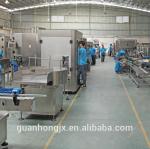 220V 6 Heads Automatic Piston Toilet Cleaner Bottle Filling Machine with Design
