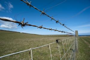Quality ISO 9001 2.2 Mm Razor Barbed Wire , Plastic Coated Galvanized Barbed Wire wholesale