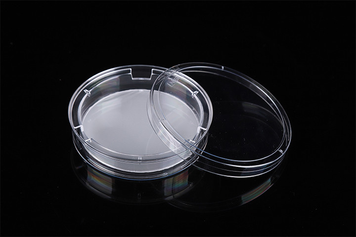 Laboratory Experiment Well Volume 2.6ml Cell Insert