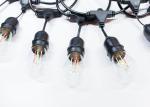 RGB Filaments S14 String LED Garden Festoon Lights