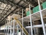 150 Ton/Day Automatic Feeder Bread Flour Milling Machine for Bean Powder Plant