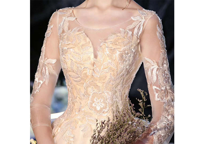 Comfortable Elegant Lady Wedding Dress / Long Tail Lace Bridal Gown