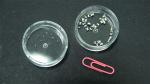 Small Components Medical Device Contract Manufacturing High Performance