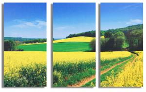 Quality Home Art Printed Acoustic Panel Soundproof Board Wall Decoration Painting wholesale