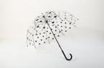 POE Clear Mini See Through Umbrella Children Straight Handle Lightweight