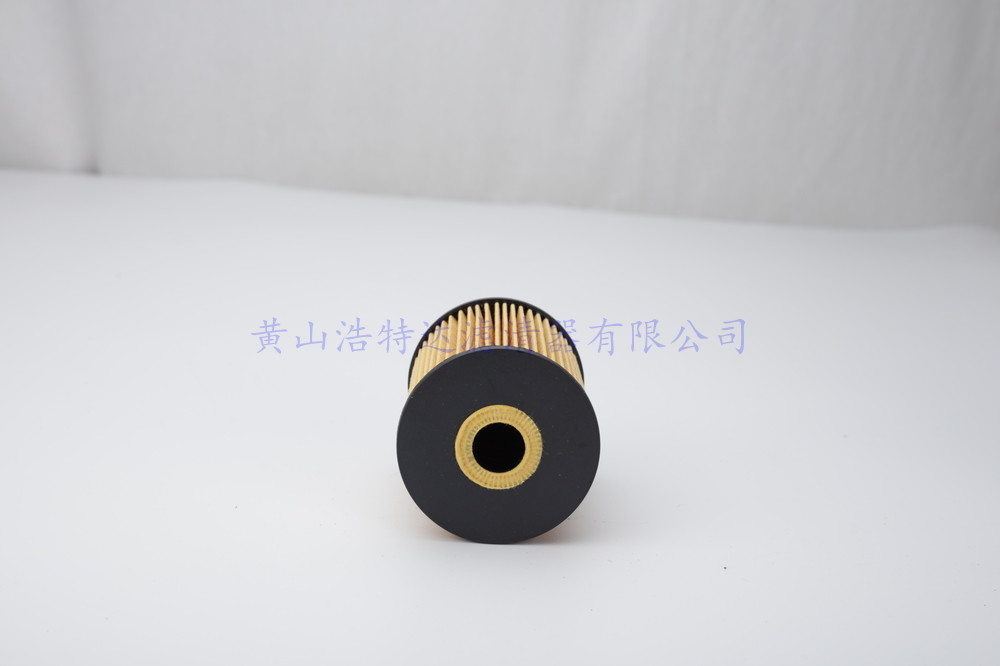 Lubrication 6086763 Engine Oil Filter Replacement Warranty 8000-10000KMS