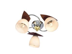 Quality 2013 ceiling lamp,spot lights,glass spot lights wholesale